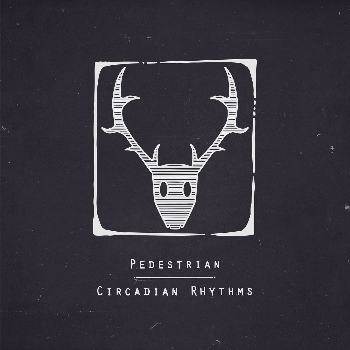 Pedestrian - Circadian Rhythms